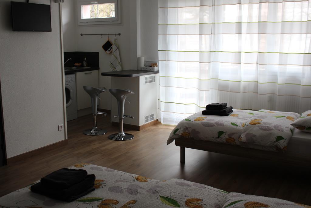 Studios Near Basel Airport Saint-Louis (Haut-Rhin) Exterior foto