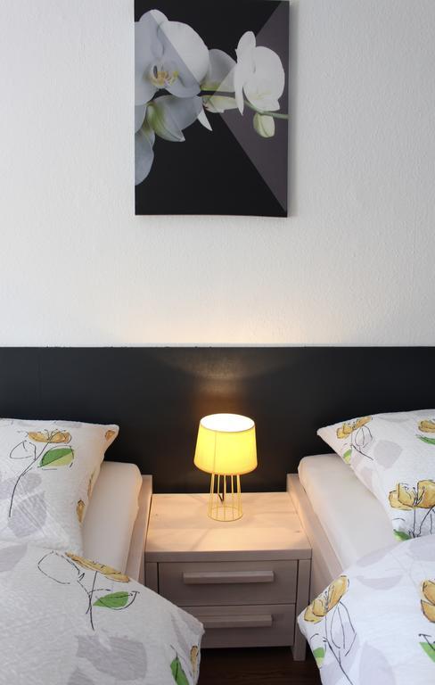Studios Near Basel Airport Saint-Louis (Haut-Rhin) Exterior foto